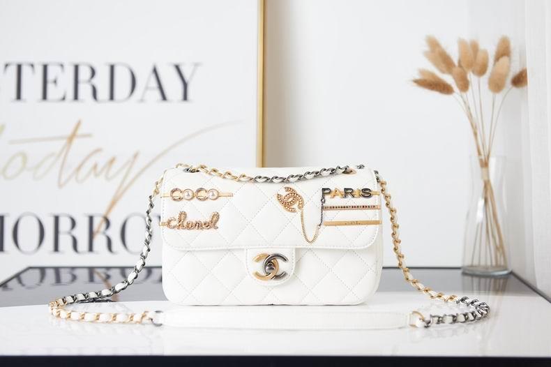 Chanel Handbags 157